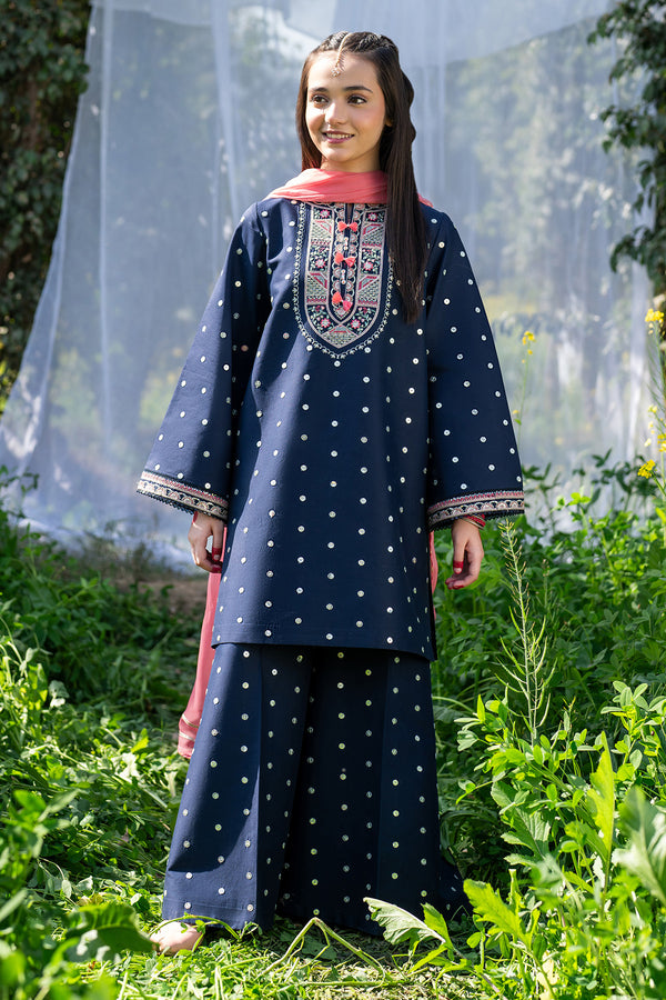 Parwaz - 3 Piece Lawn