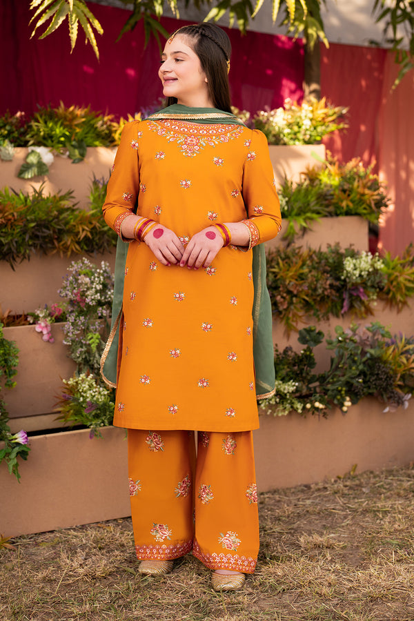 Shadab - 3 Piece Lawn